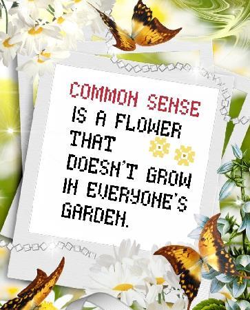 (image for) Common Sense